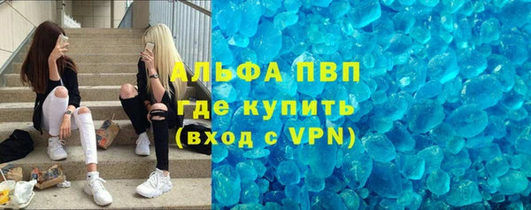СК Аркадак