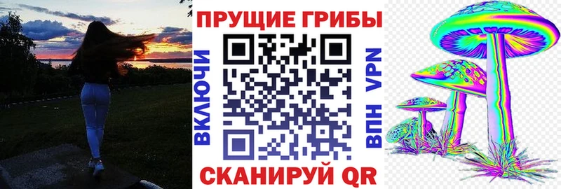 shop как зайти Заречный Галлюциногенные грибы GOLDEN TEACHER